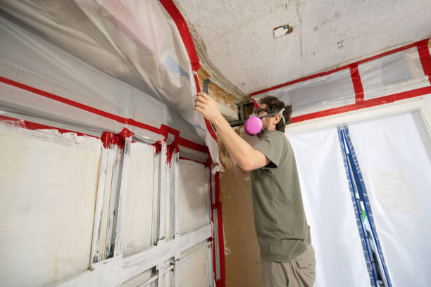 Best Residential Mold Inspection & Testing  in Cape Carteret, NC